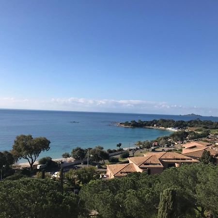 אז'אקסיו Superbe Appartement T2 Vue Magnifique Sanguinaires A 50M De La Plage מראה חיצוני תמונה
